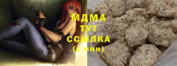 молекула духа Ладушкин