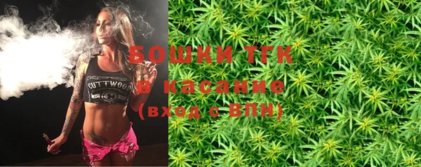 молекула духа Ладушкин