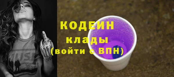 молекула духа Ладушкин