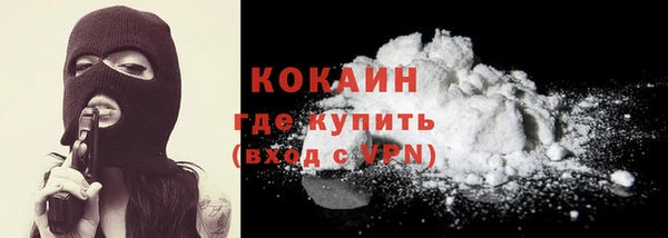 молекула духа Ладушкин