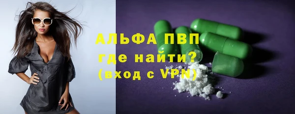 молекула духа Ладушкин