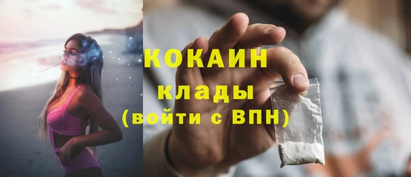 молекула духа Ладушкин