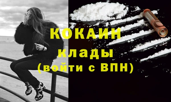 молекула духа Ладушкин