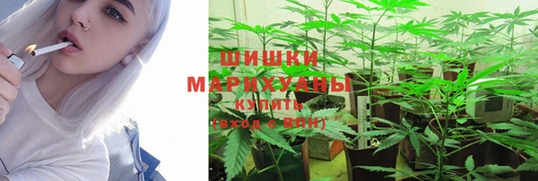 тгк Кукмор