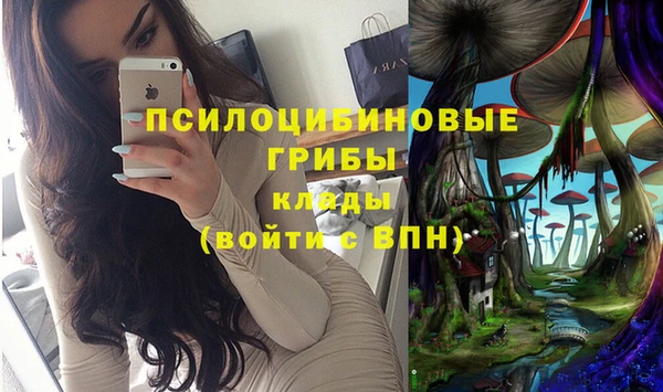 молекула духа Ладушкин