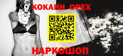 сатива Новозыбков