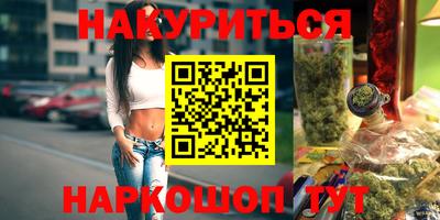сатива Новозыбков