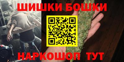 сатива Новозыбков