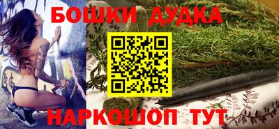 гашик Новодвинск