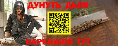 сатива Новозыбков