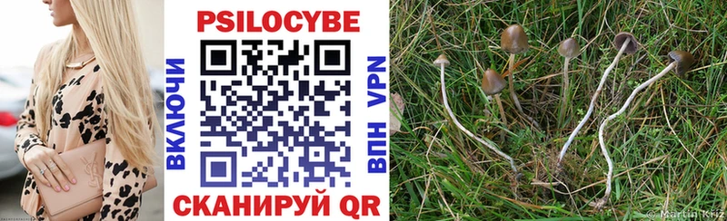 Псилоцибиновые грибы Magic Shrooms  Карабулак 