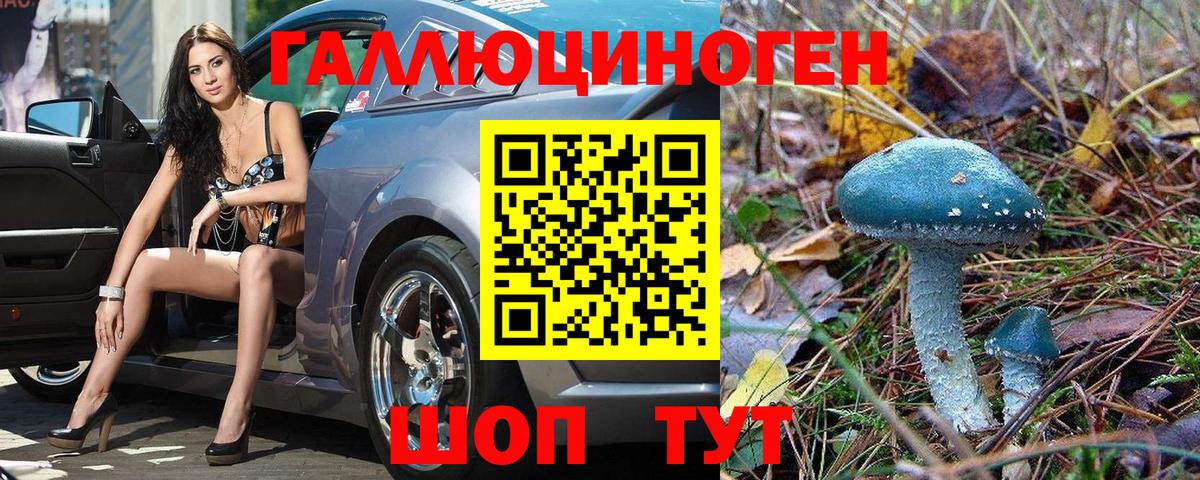 Псилоцибиновые грибы ЛСД Карабулак