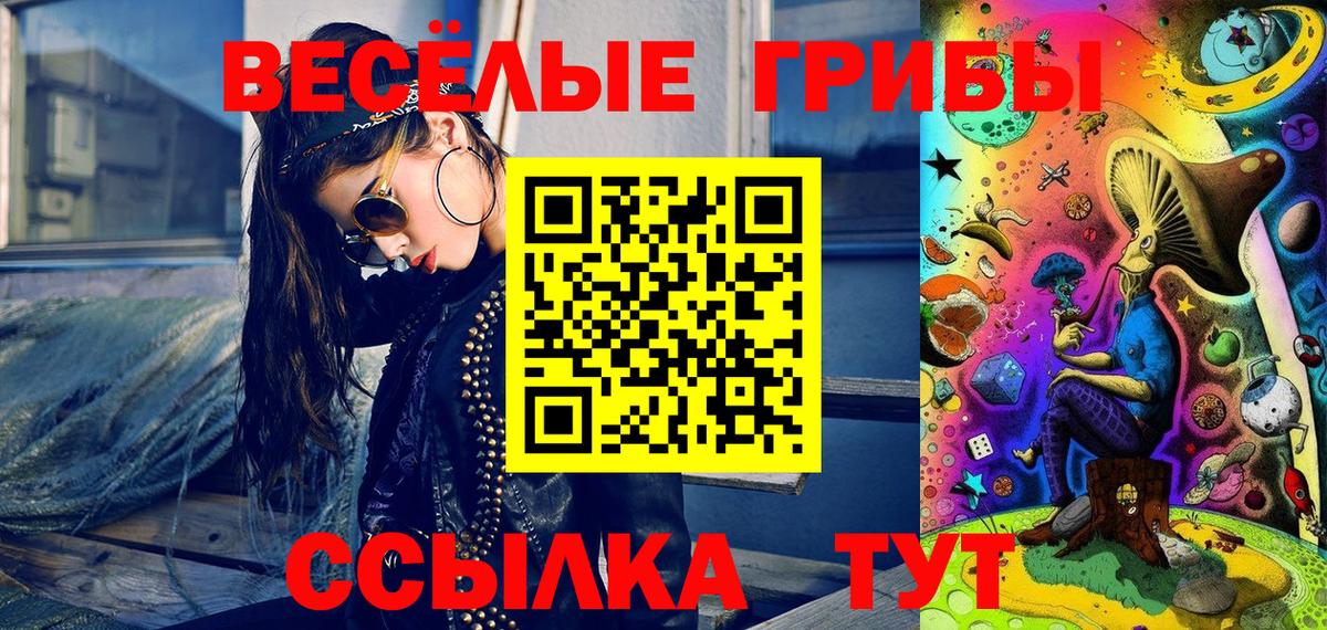 наркота  Вход с VPN  Карабулак  Псилоцибиновые грибы Cubensis  Галлюциногенные грибы Psilocybe 